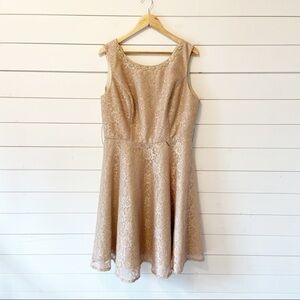 MELROSE | Champagne Lace Knee Length Formal Dress With Neck Embellishments 16